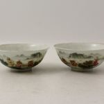905 3060 BOWLS